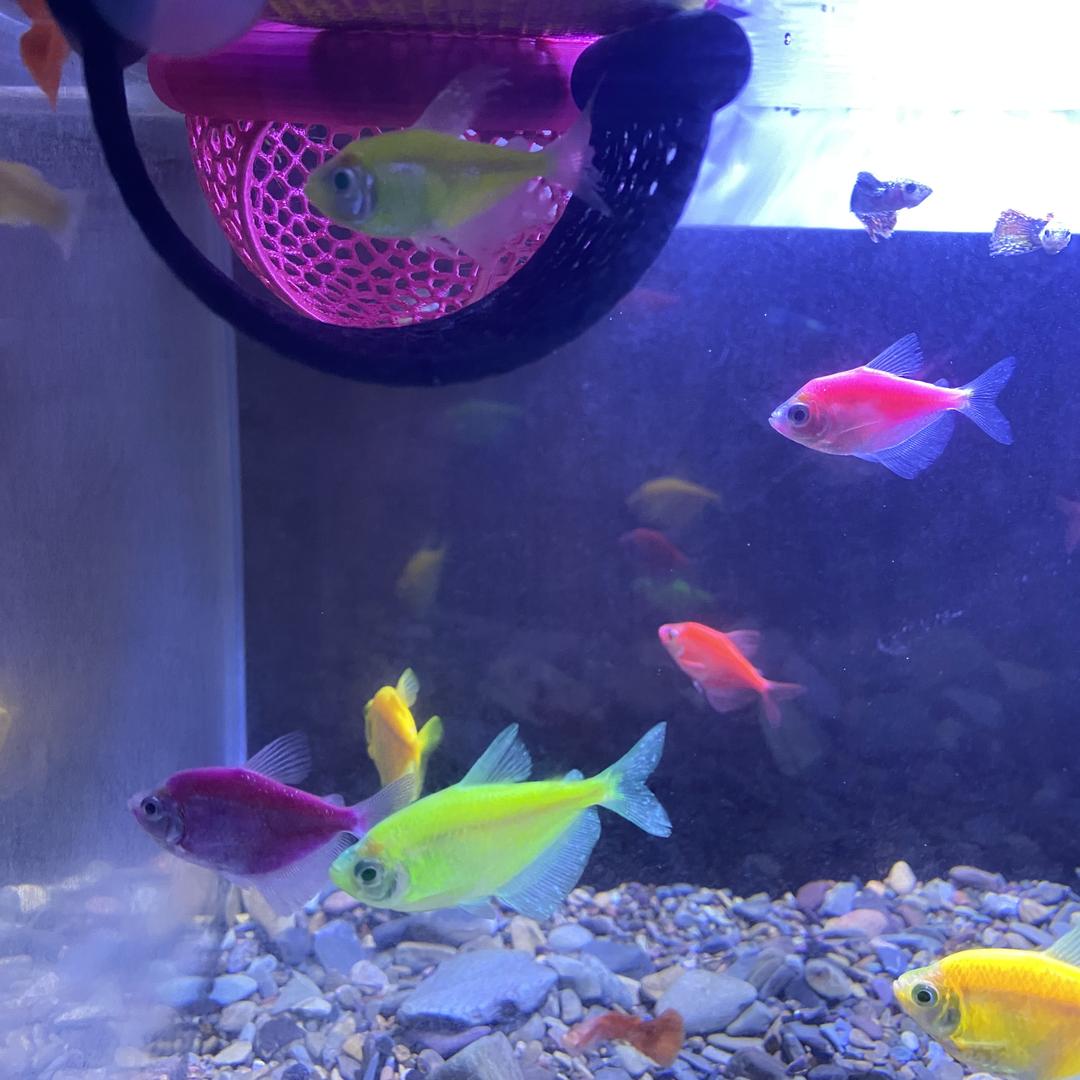 造景水族馆鱼缸隧道躲避屋用品