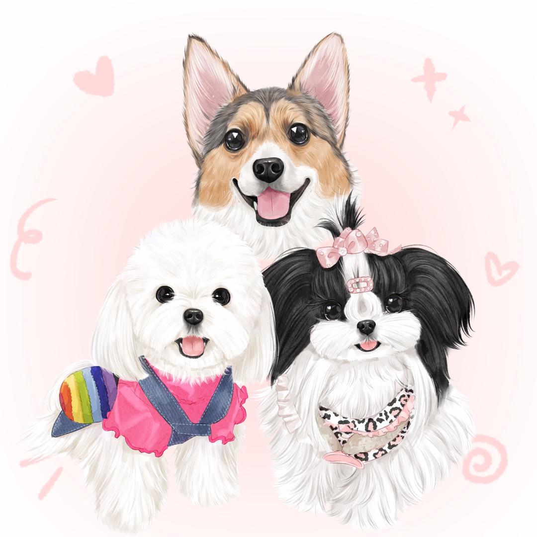 啵啵Pet