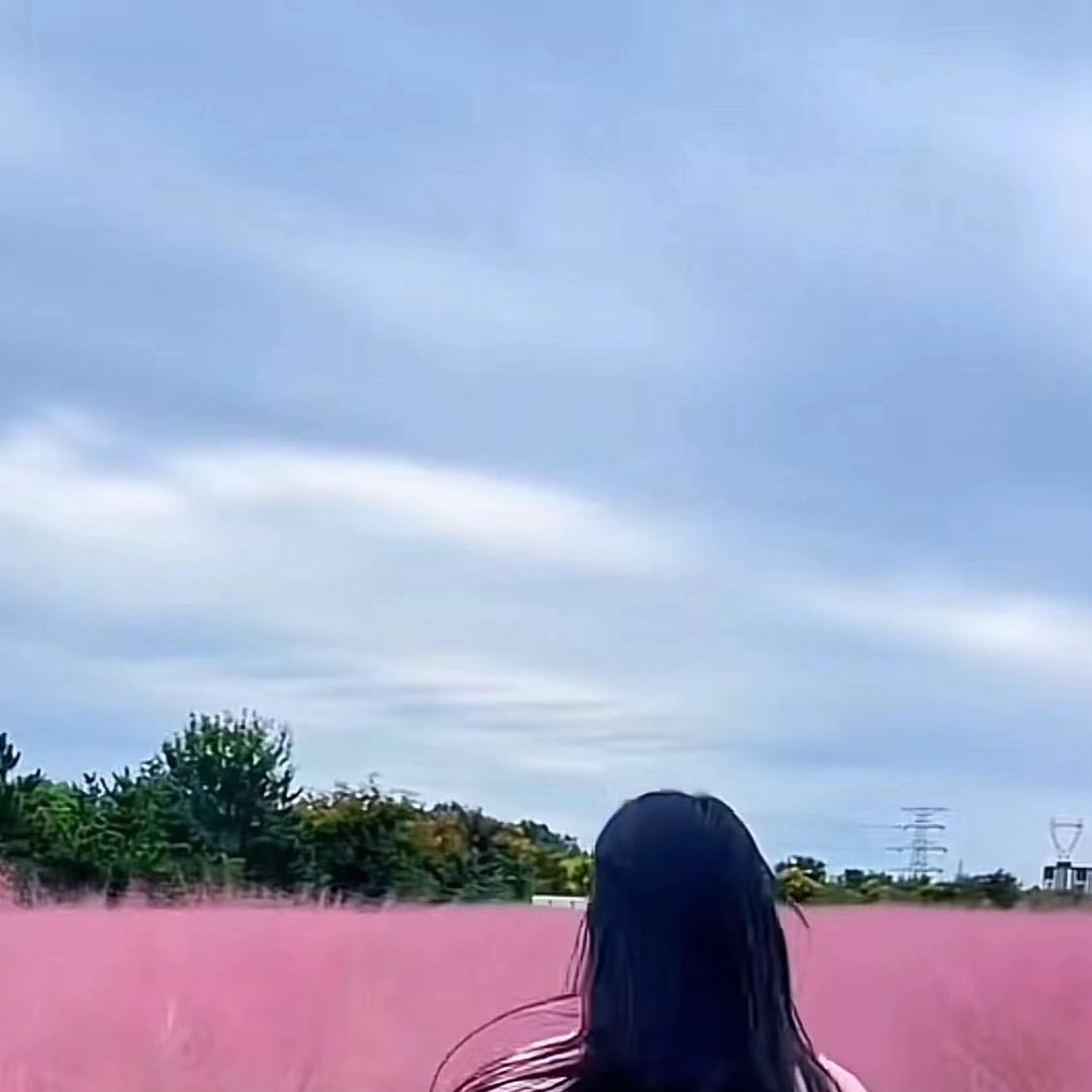 沫沫儿传媒工作室