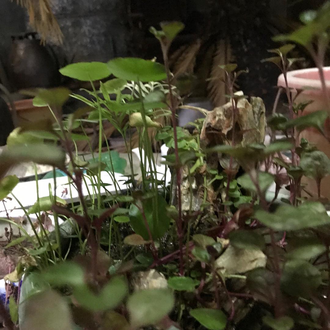 策武斌斌百货