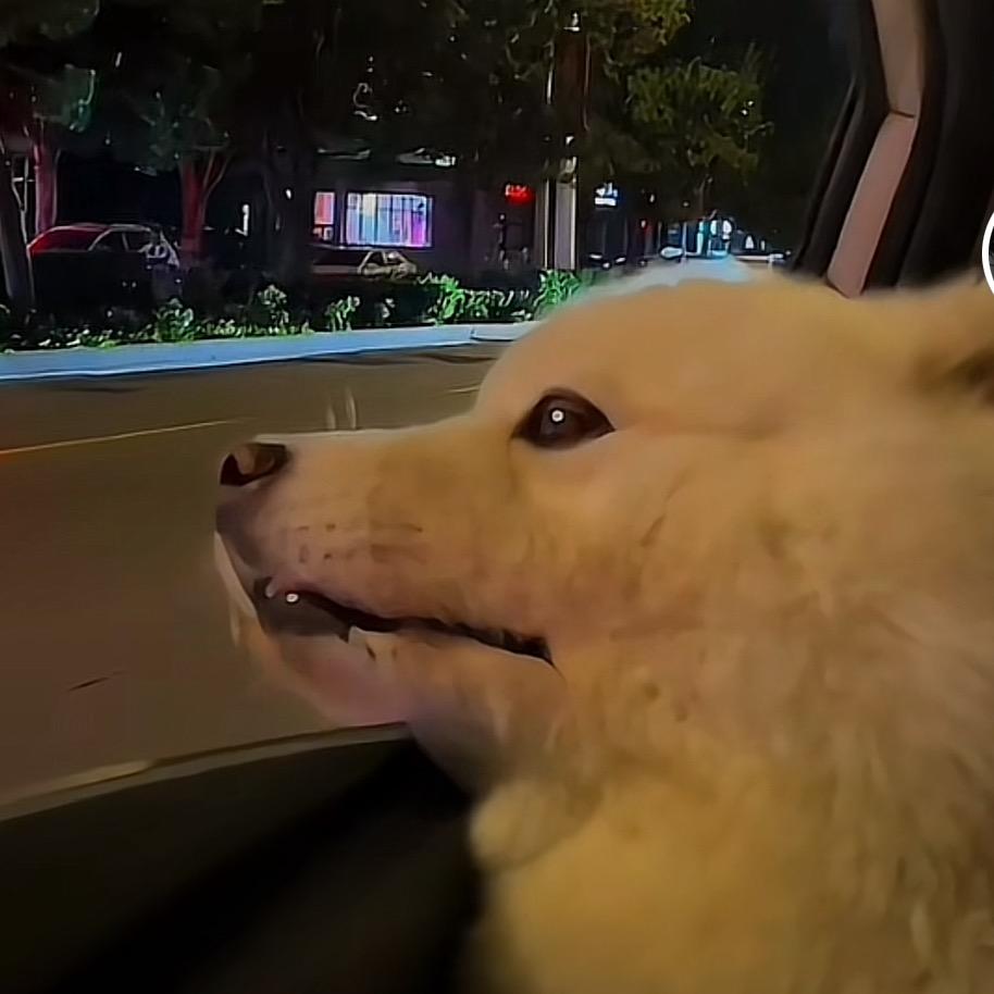 我想快乐