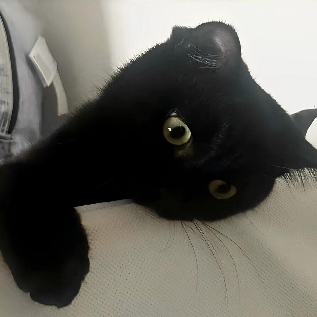 tai^