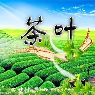 海丰卖茶叶的玉姐