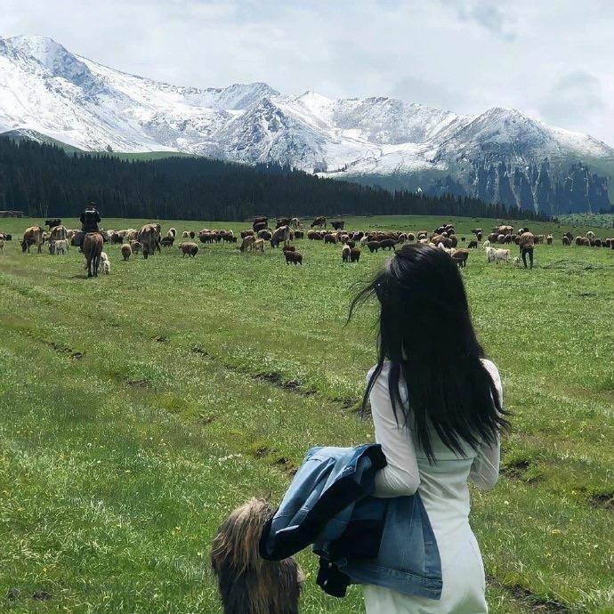 不吃f肥肉