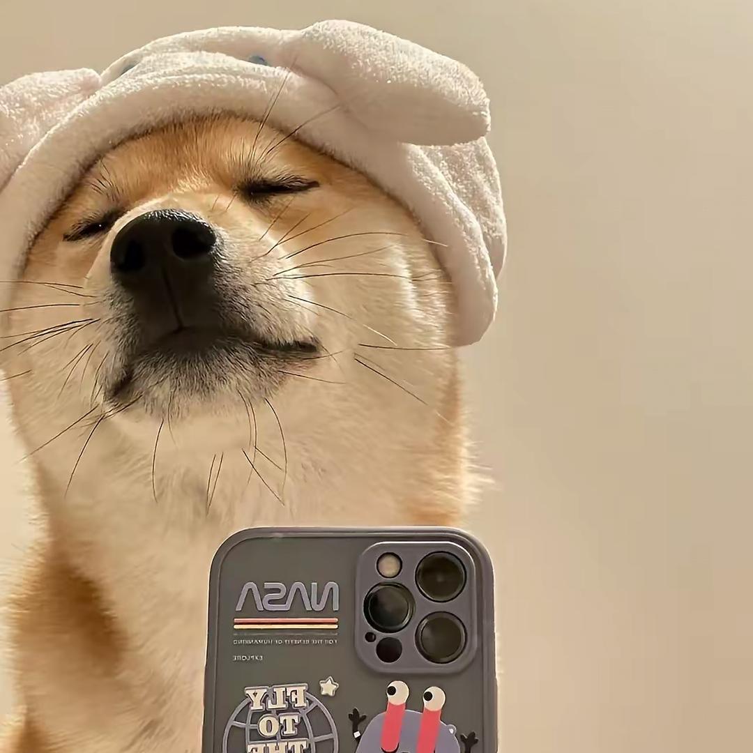 陈管西老师