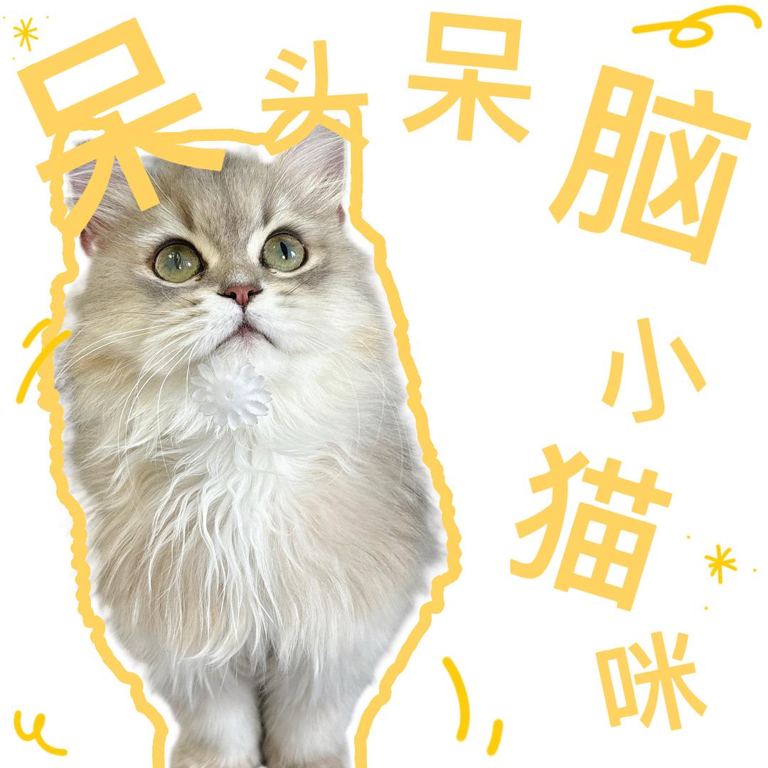 山竹瓣瓣香