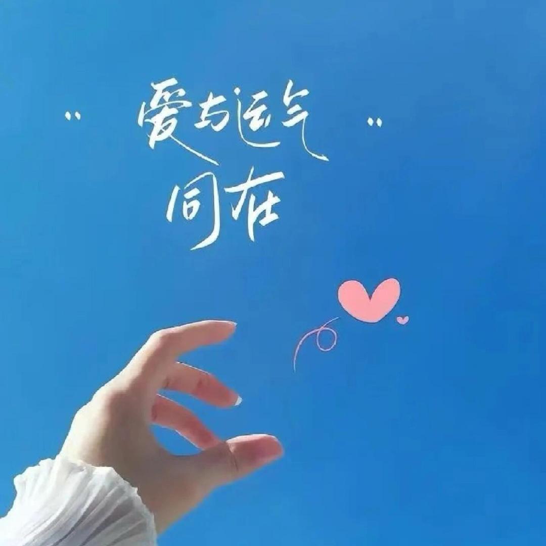 苏苏苏