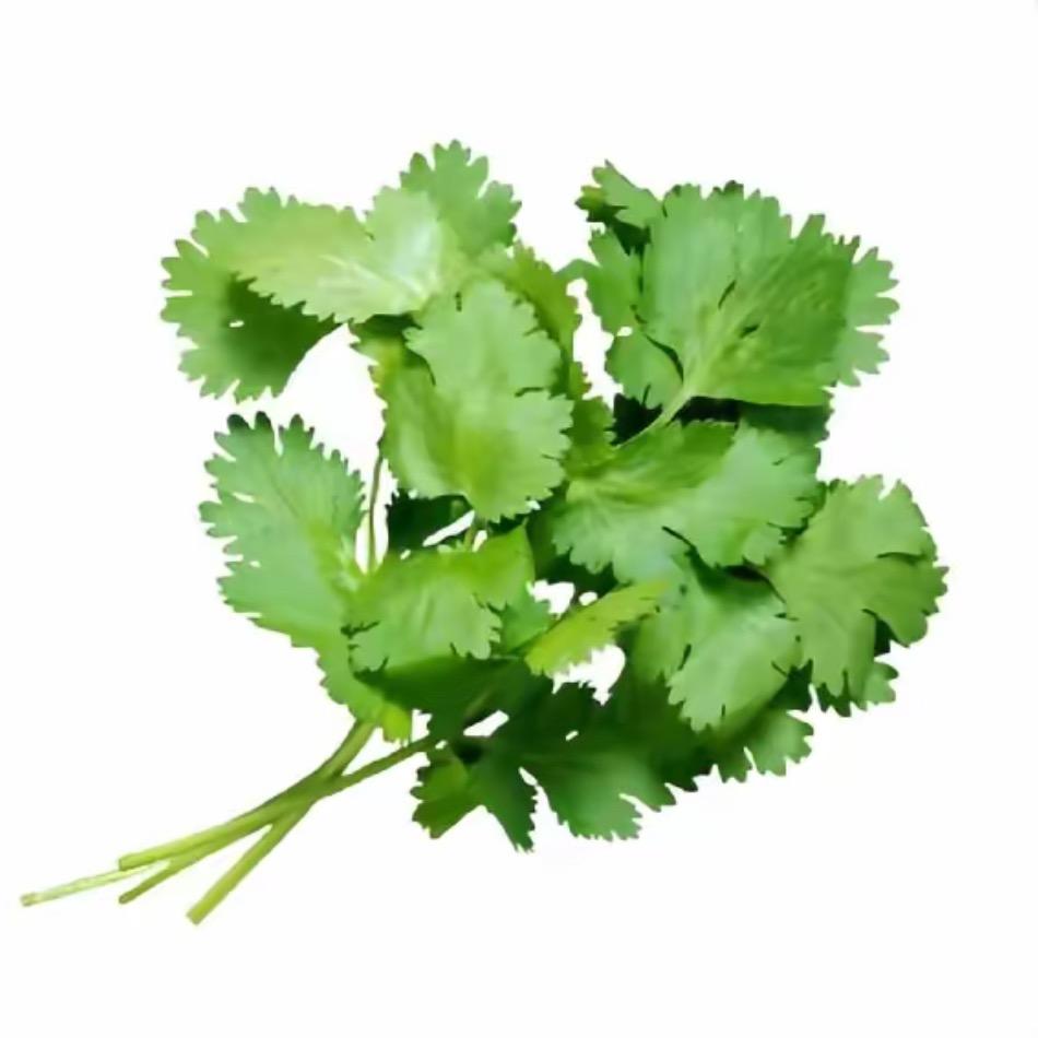 香菜大王