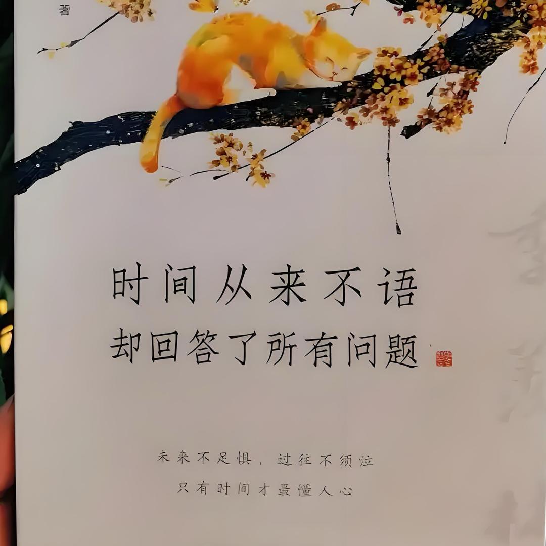爱听书的阿文