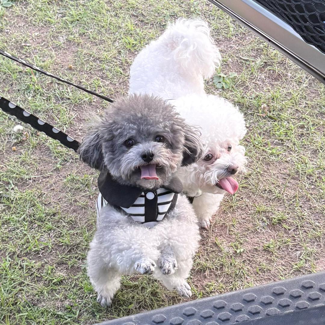 齐恩齐恩👸🏻