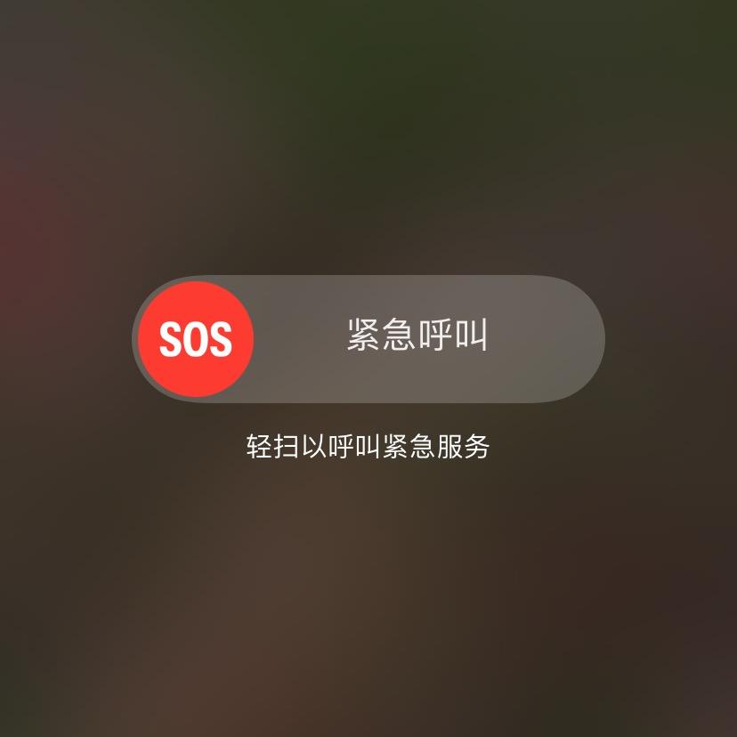 杨家人