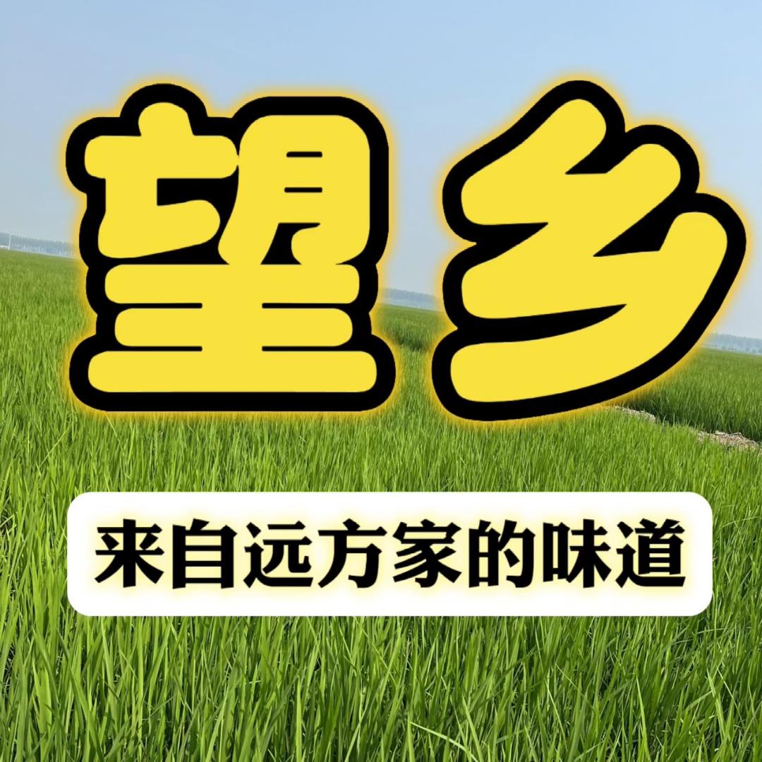 望乡特产甄选