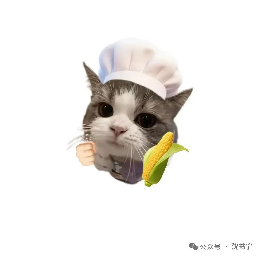 你瞎了