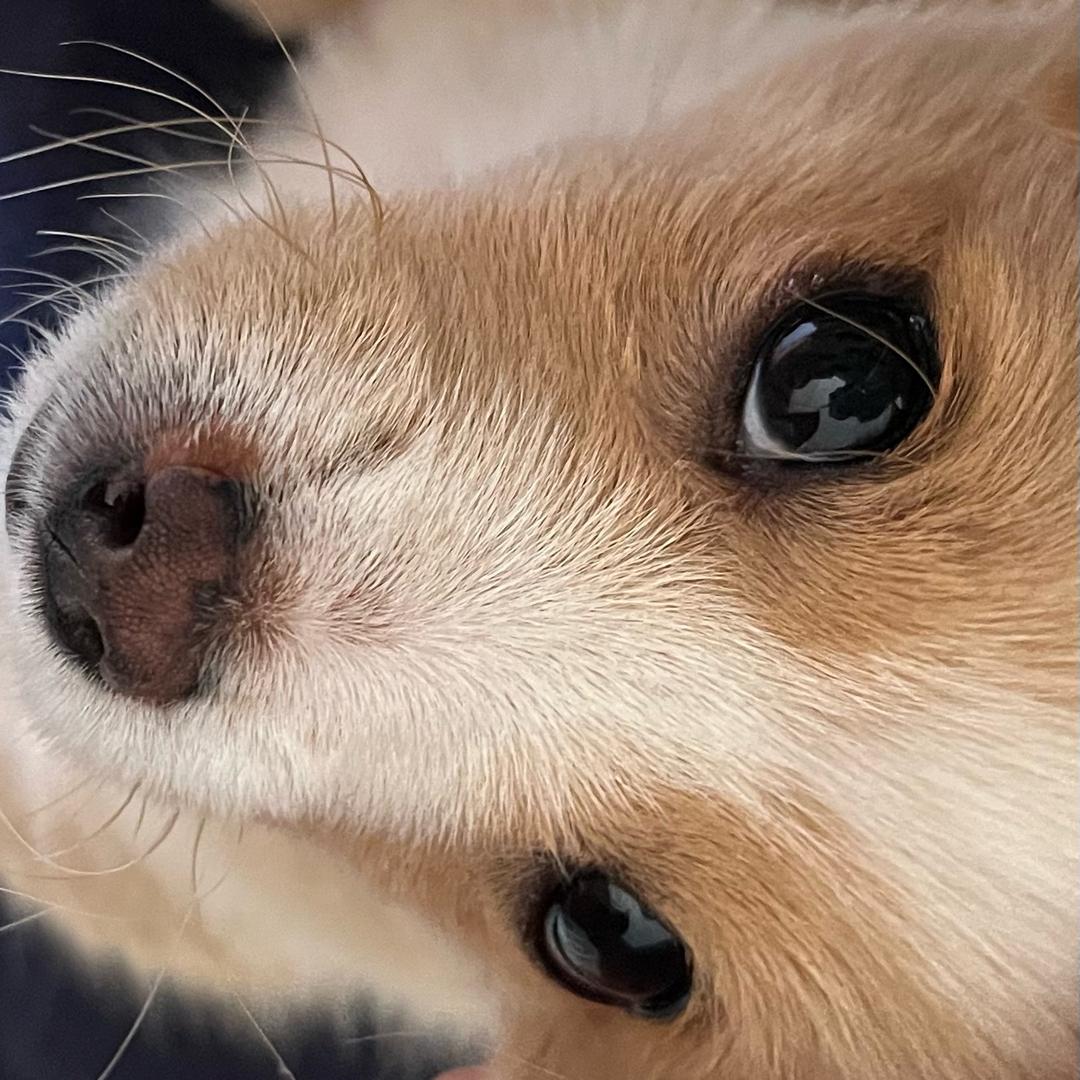 静坐