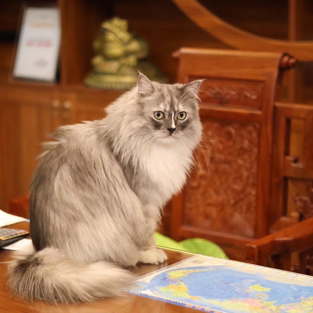 山外小楼画中人