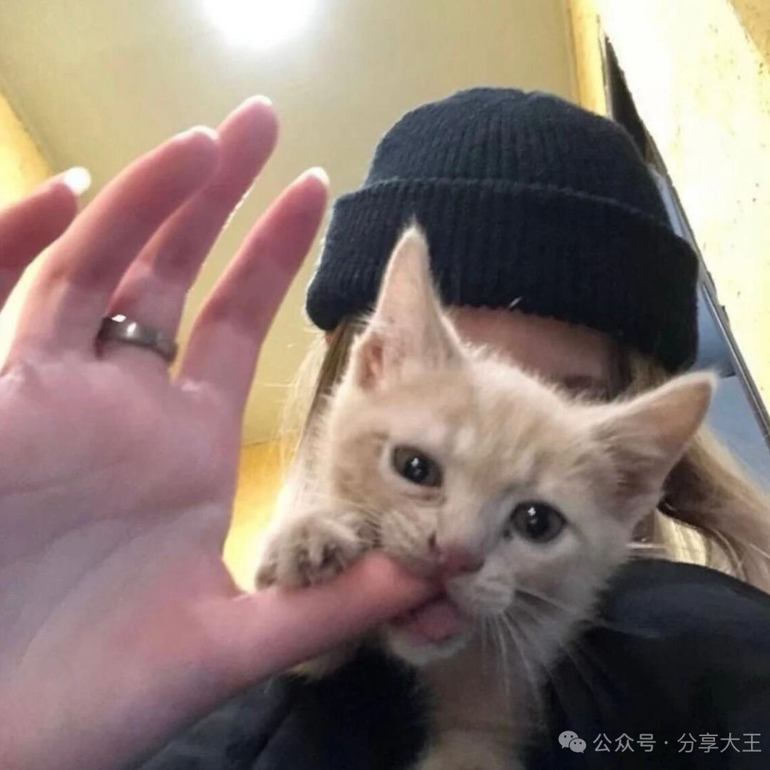 伤心的淀粉肠