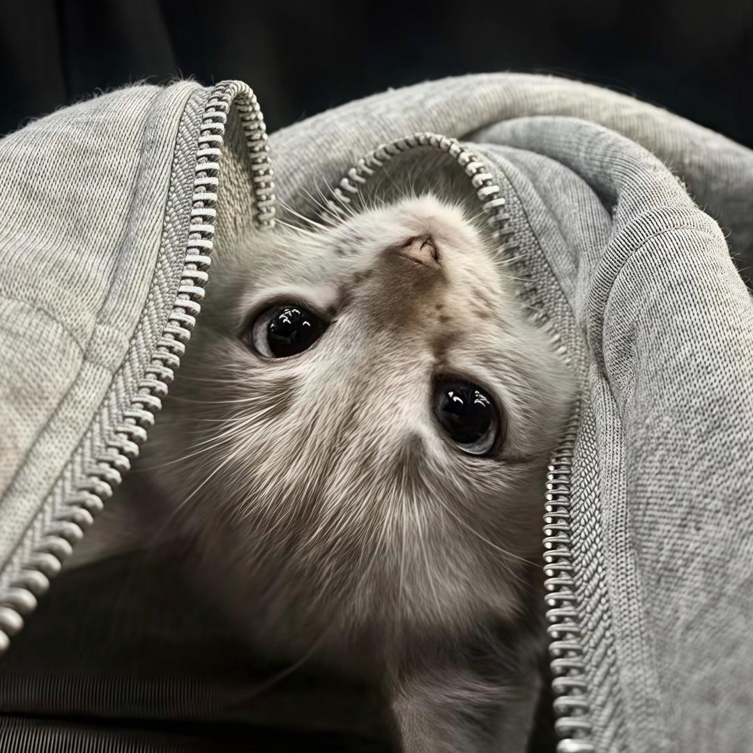 Ointtuo