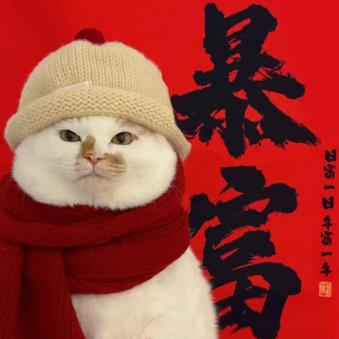 泽林台球器材｜球杆｜维修