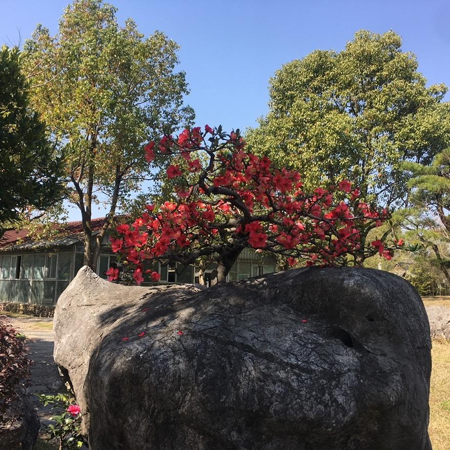 冰清玉洁