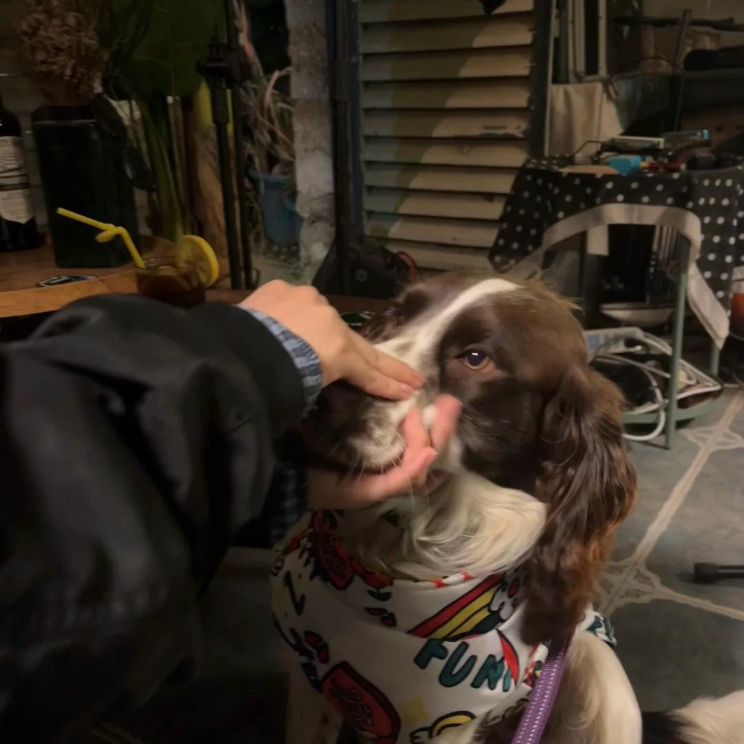 不发脾气只发财💰💰💰