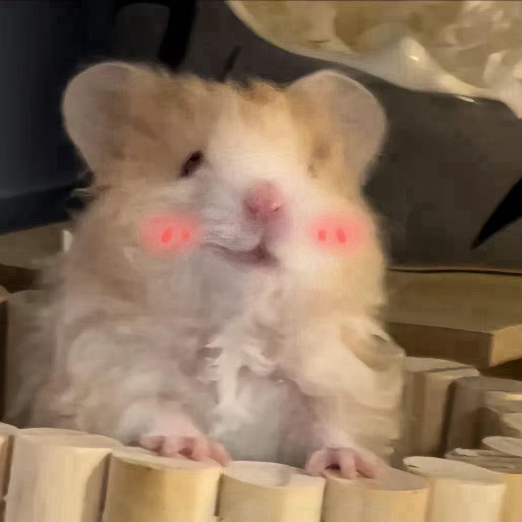 鼠鼠严选官🐹