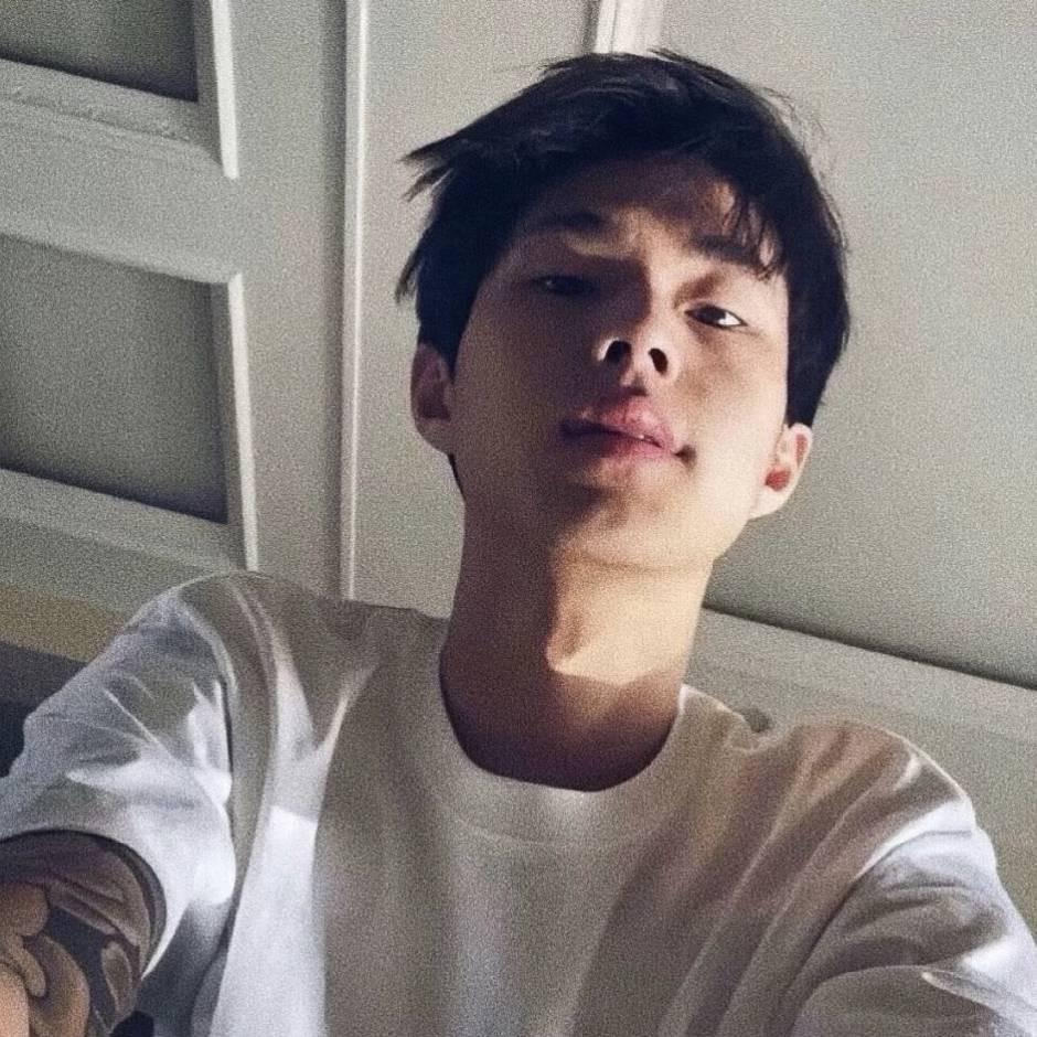 我也是鲨鱼🦈