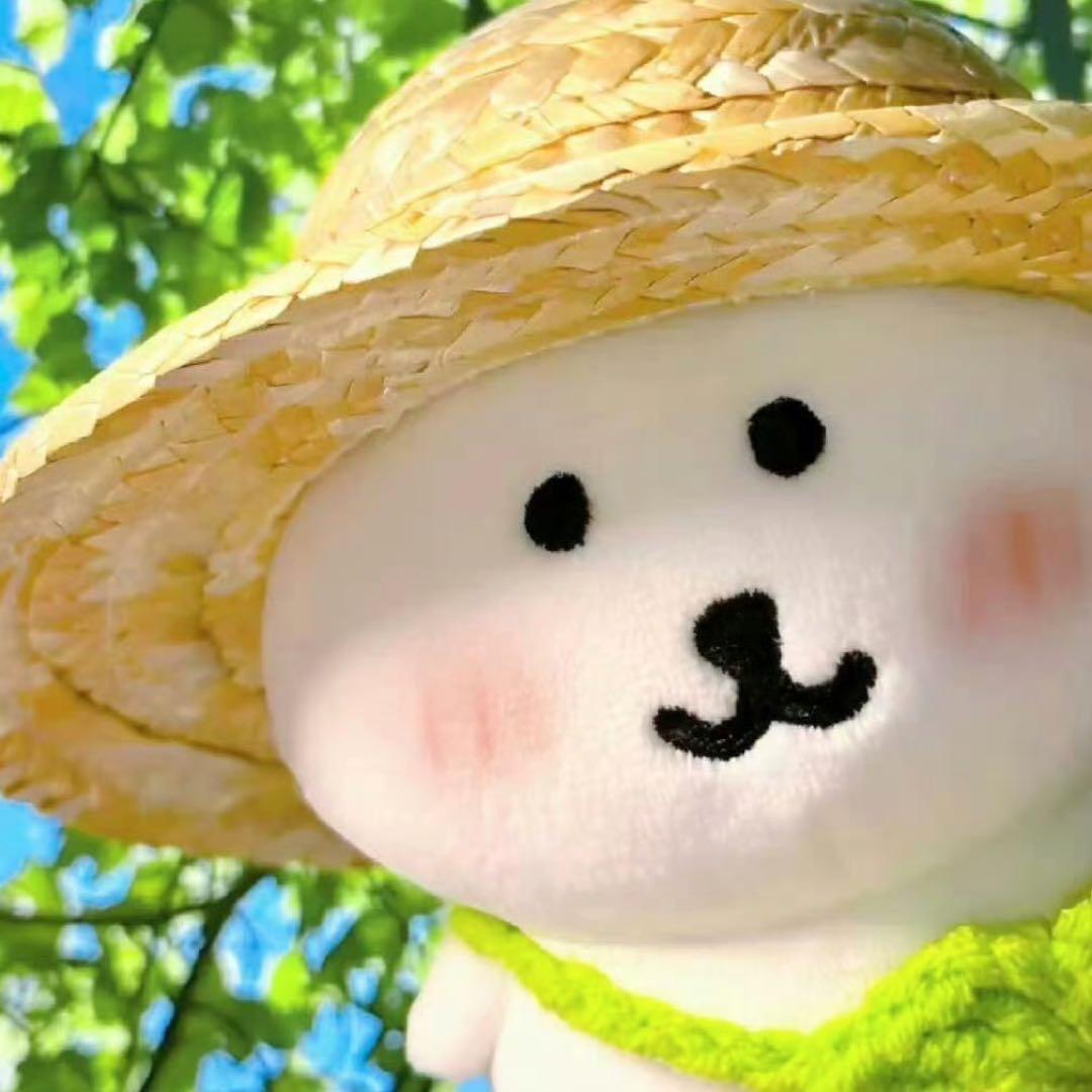 我有一只芒狗