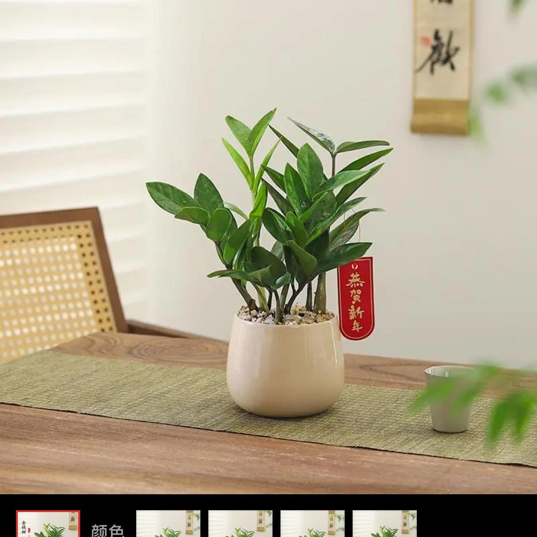 失联了
