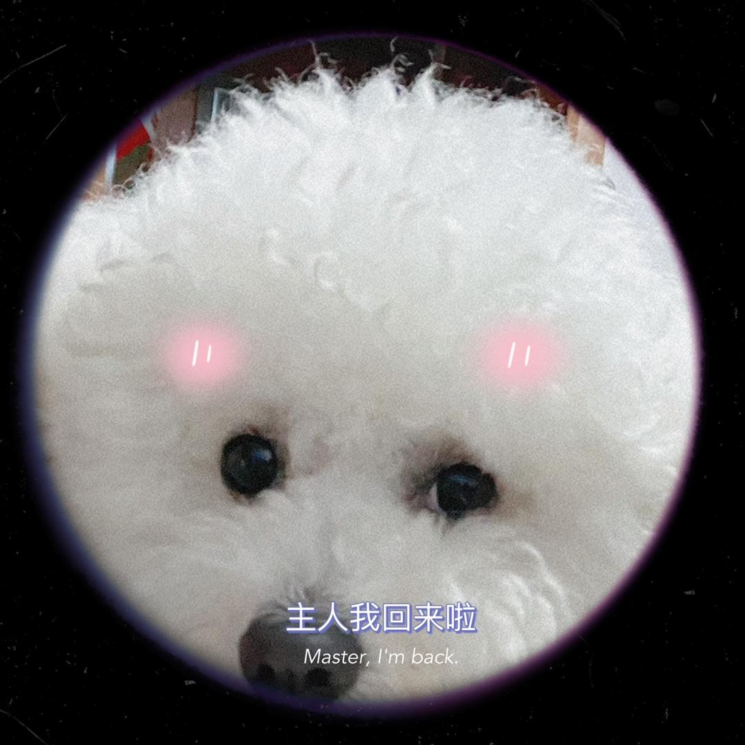 🤍蓝草莓果酱💜