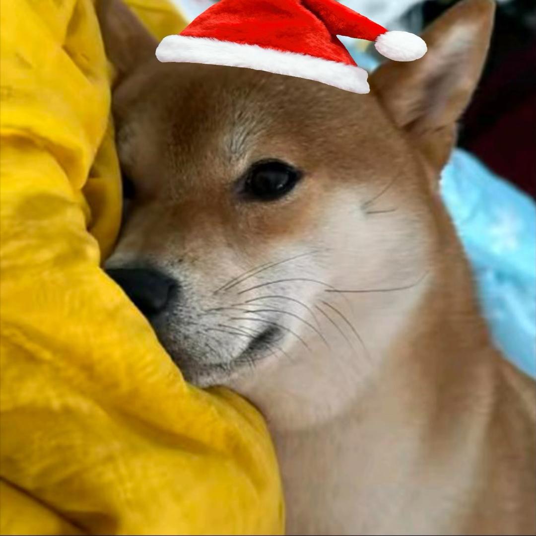 :D