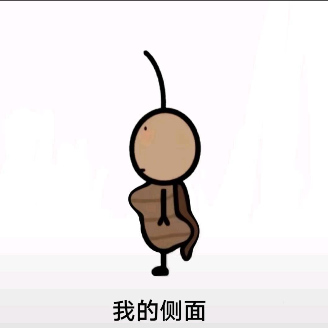 1111111111111111