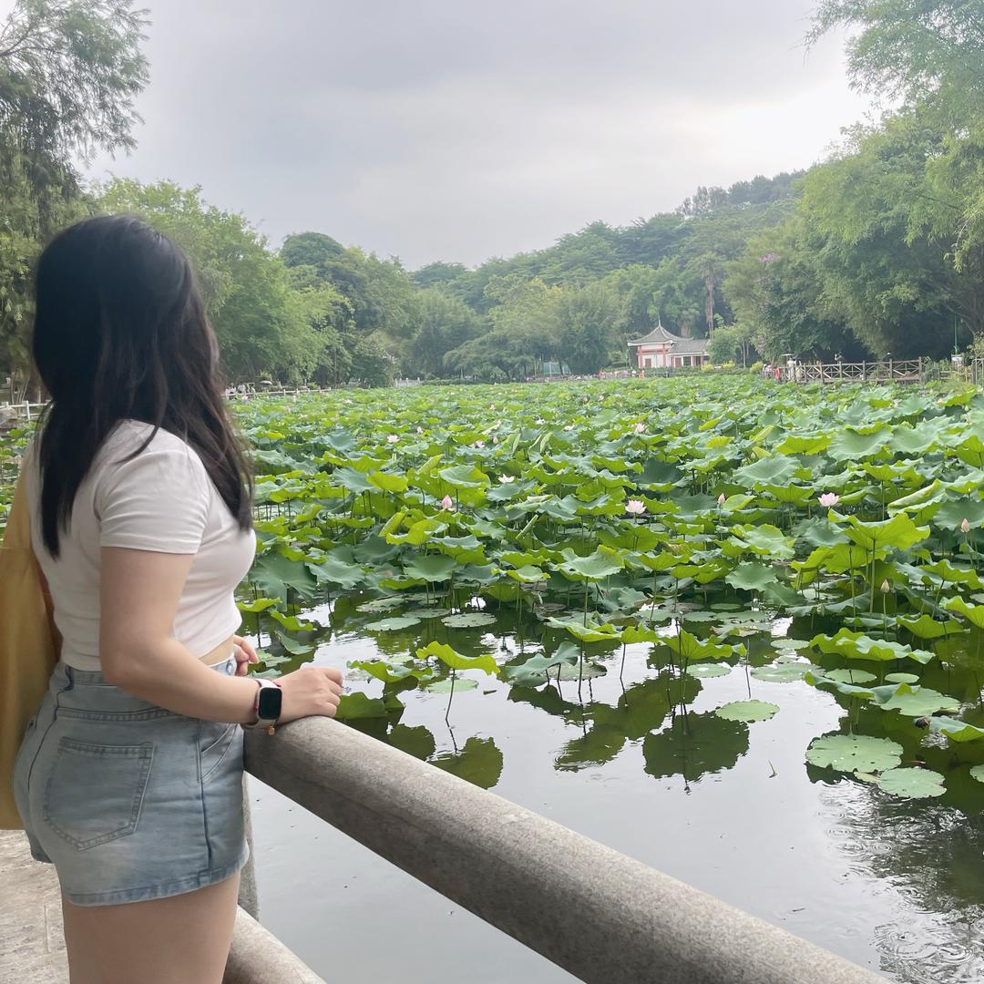 我爱吃香菜