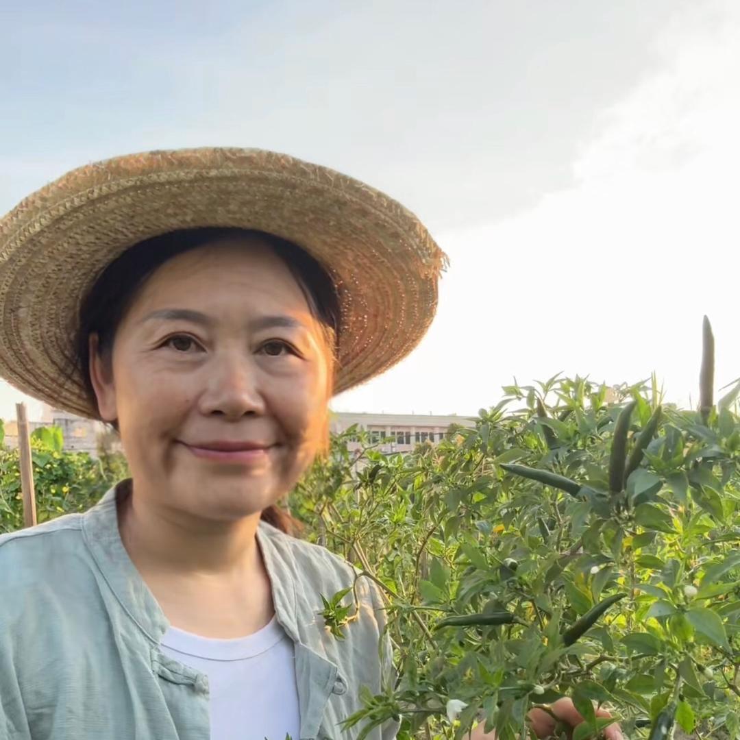 江门三姐