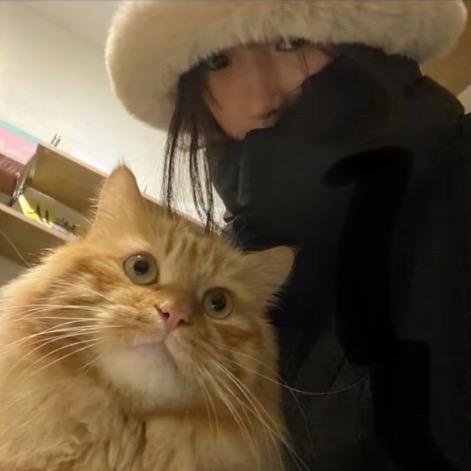 要一杯茉莉奶绿.