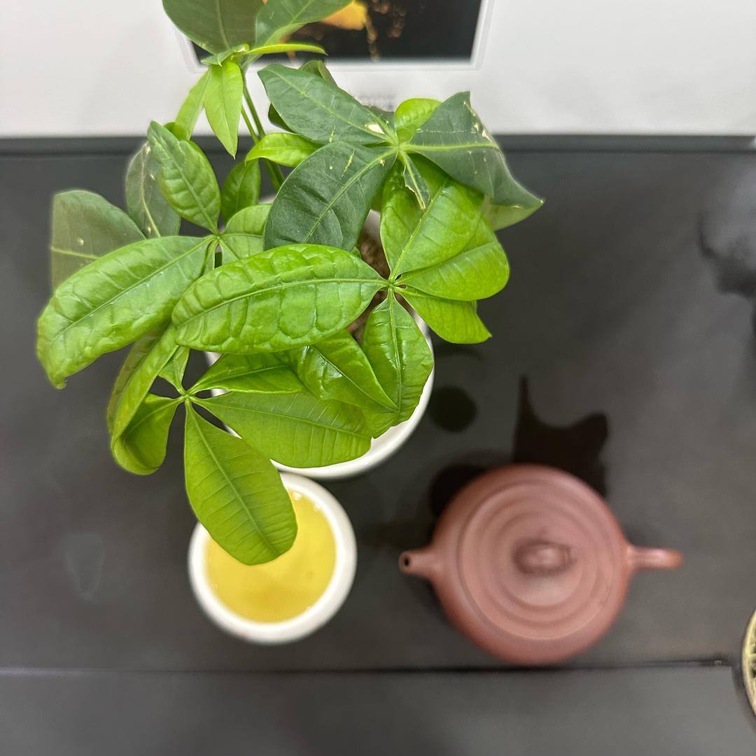 世利佳木业博古架