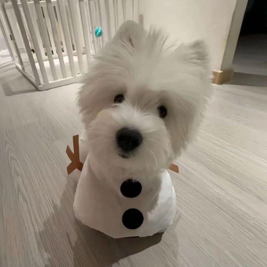 小钟岁宝 GO 健身