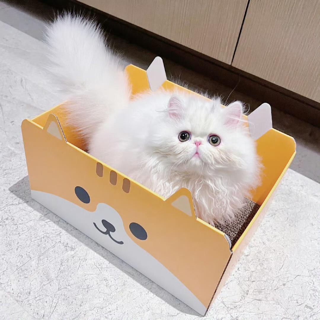 不仅圆心