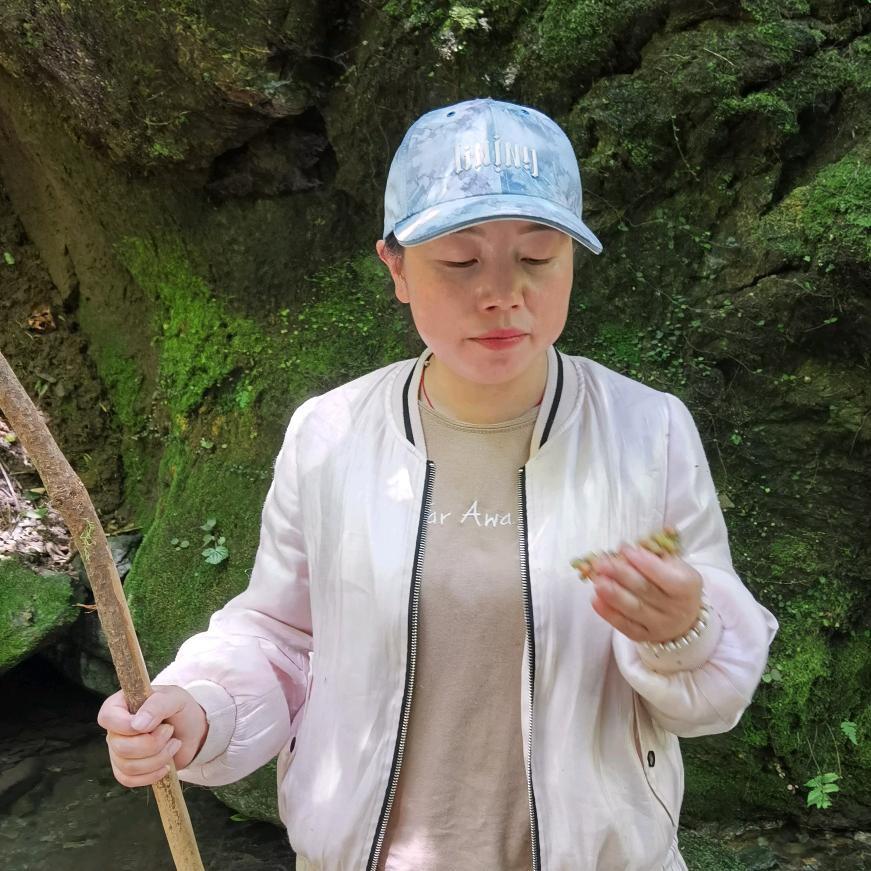 草茗之见