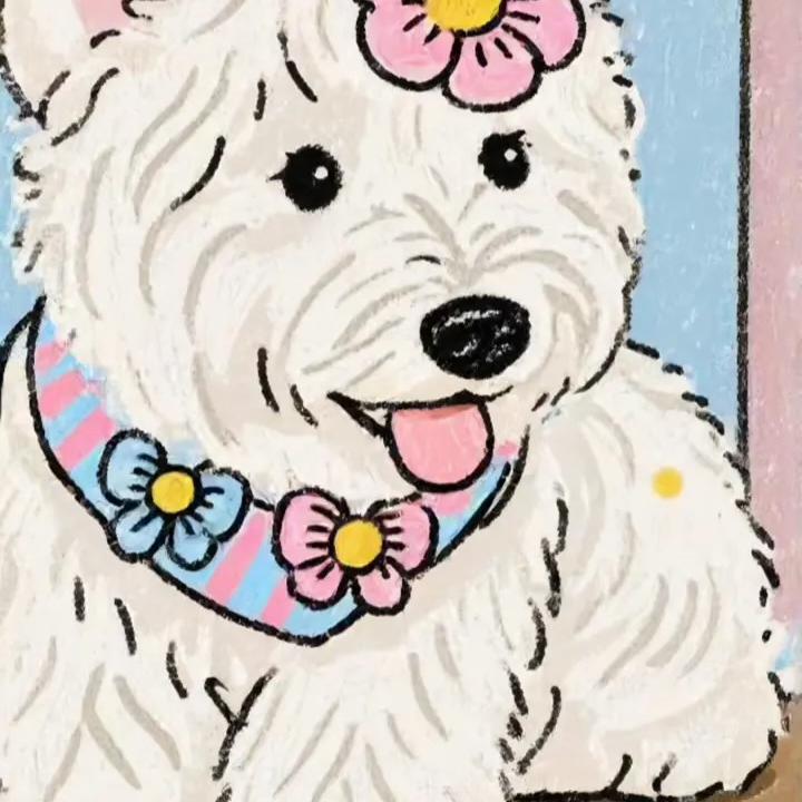 王杰泥淼多元商品严选