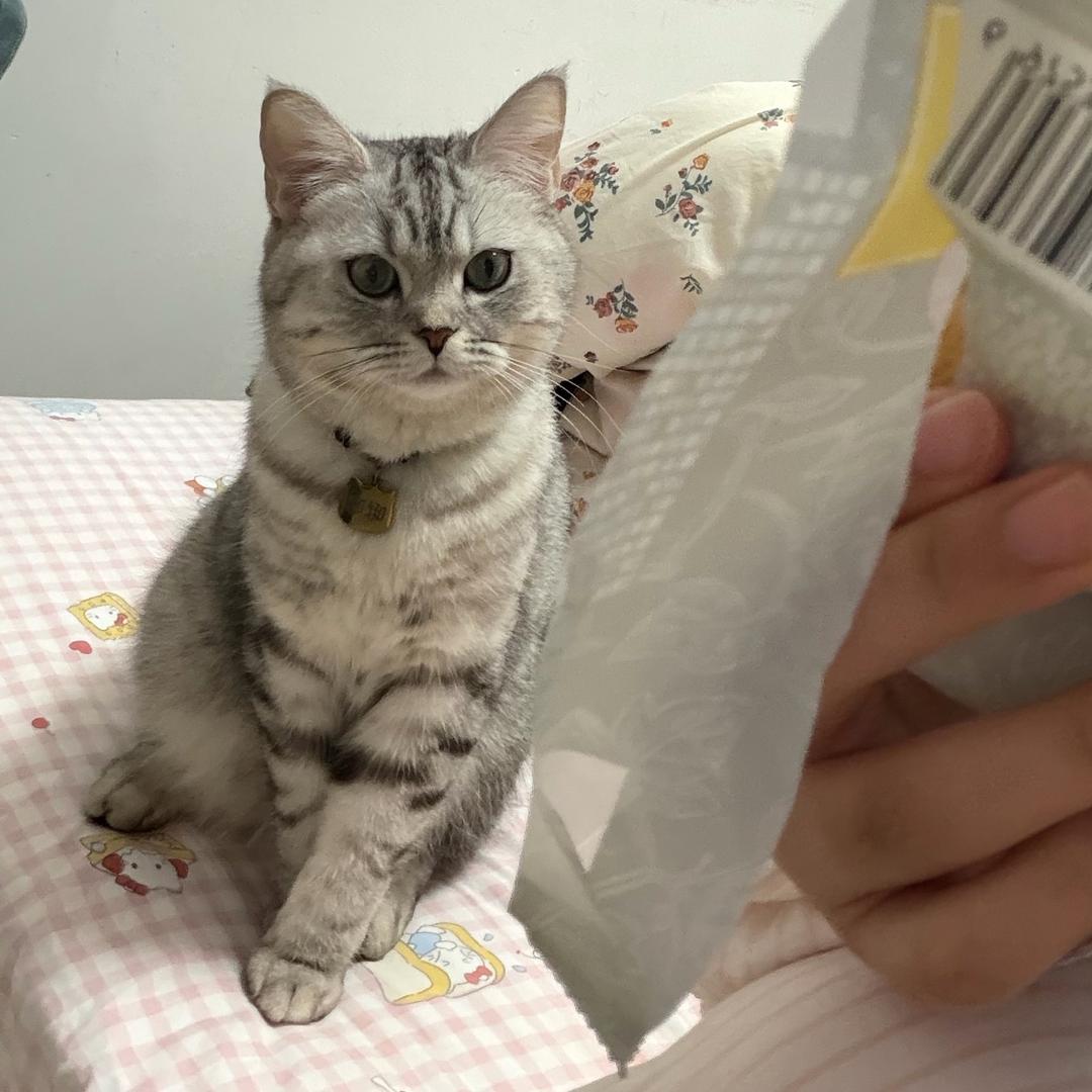 嬌baby🧚🏻‍♀️