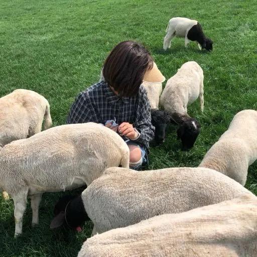 铁岭卖房🛖阳阳