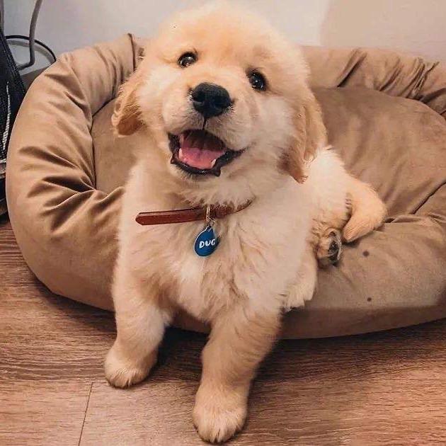 Smile