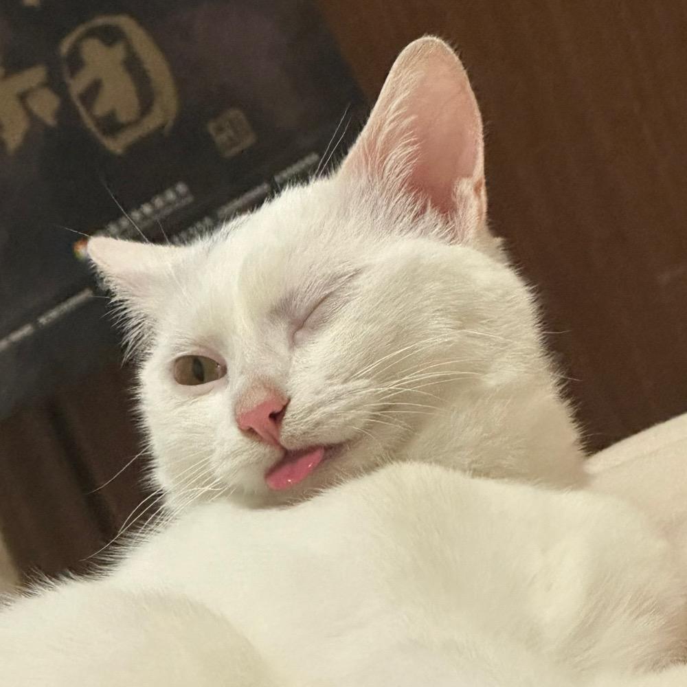 立里立里