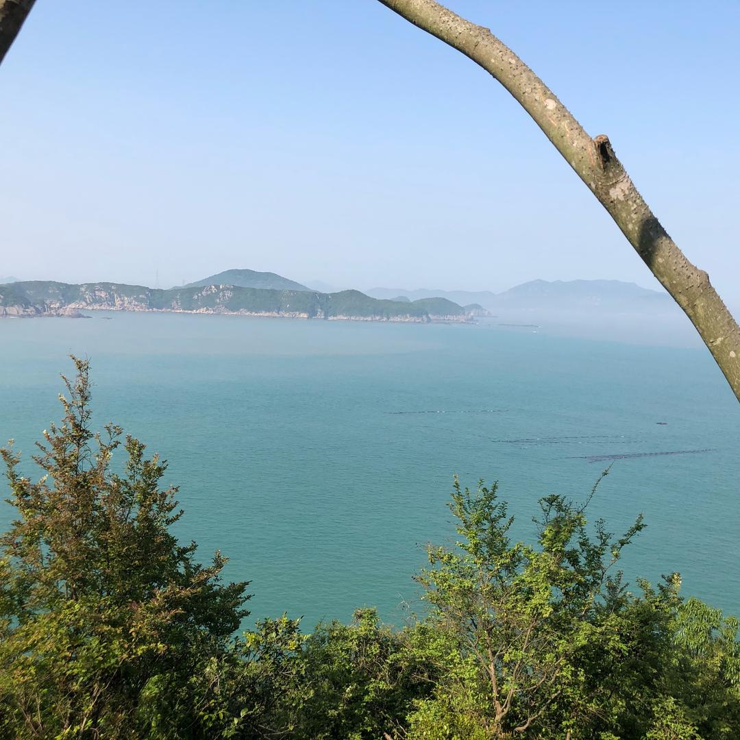 令狐派第一大弟子