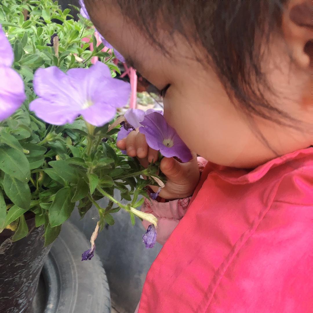 成長🐷育孩記之教育本真