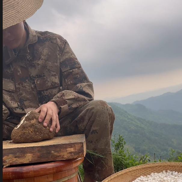 茯二代岳西茯苓