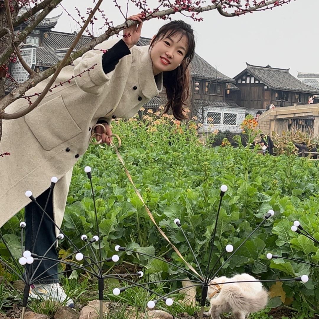 漆🈷️