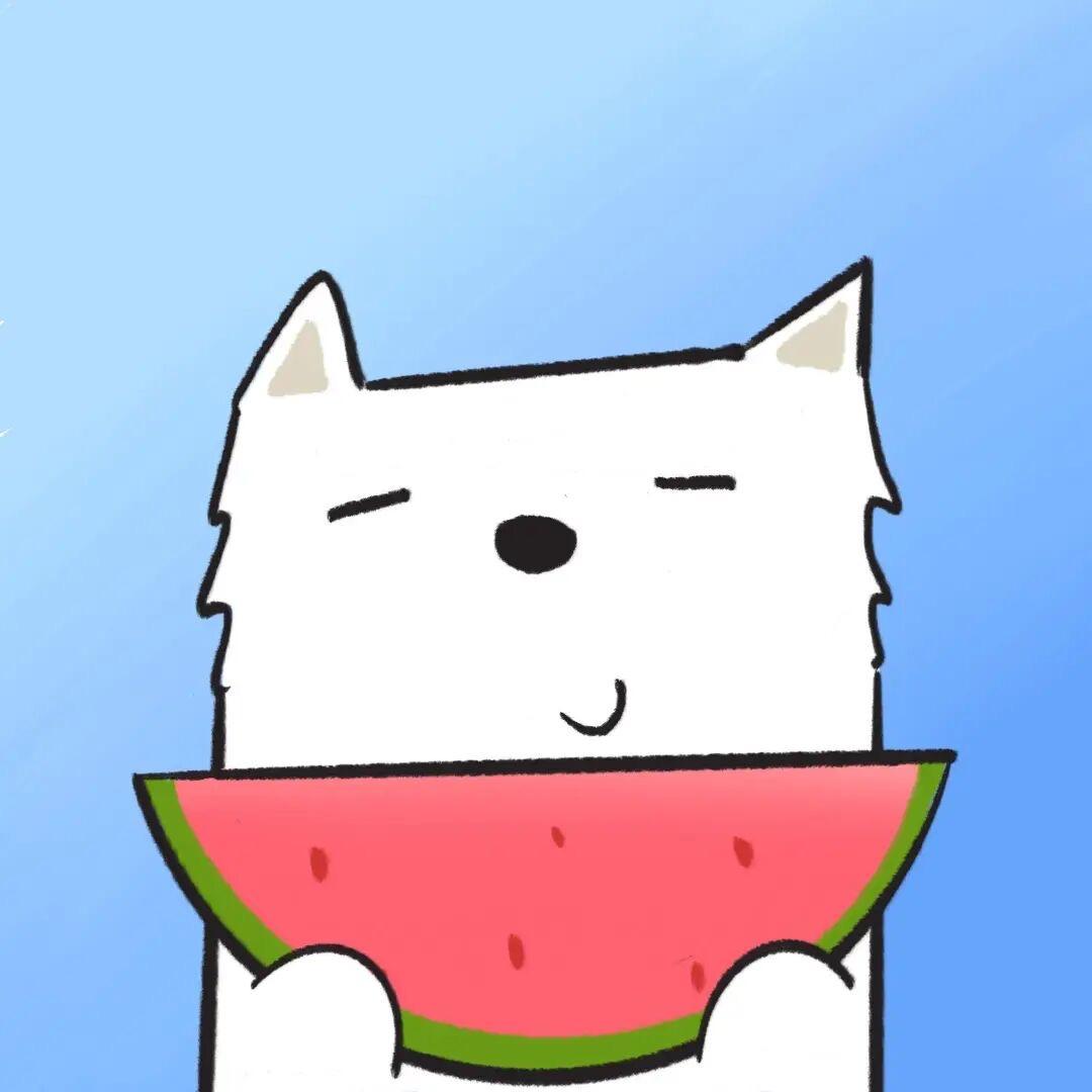 🍉哈奇奇