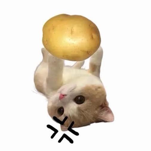 哈哈哈哈