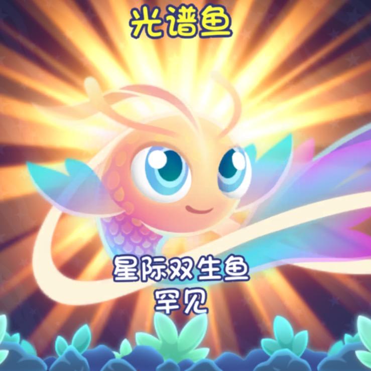 一只星鱼呀